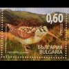 Bulgarien 2009, Block 308, Vögel im Balkangebirge, Waldschnepfe, Steinröte