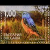 Bulgarien 2009, Block 308, Vögel im Balkangebirge, Waldschnepfe, Steinröte