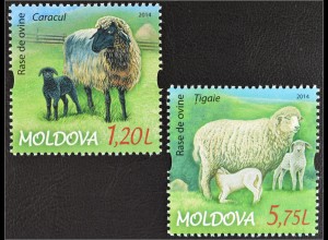 Moldawien Moldova 2014 Michel Nr. 877-78 Schafe Schafrassen Karakul