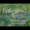Guernsey 2016 Block 77 Gefährdete Arten Philippinscher Adler Endangered Species