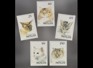 Katzen Briefmarken Siamkatze Maine Coon Katze Angorakatze Blauer Rauch Perser