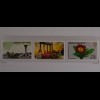 Türkei 2016 Block 145 + Nr. 4250-52 + FDC Expo Antalya Gartenschau Toller Folder
