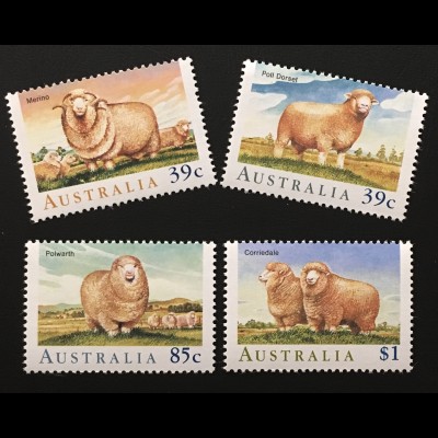 Australien Schafe Merino-Schaf Poll-Dorset-Schaf Polwarth-Schaf Corriedale-Schaf