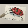 Briefmarkensatz aus Australien Insekten Tectocoris Cizara Petasida Castiarina