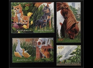 Australien Haustiere Hunde Katzen Ponys Kakadu Gans mit Küken Hund und Katze