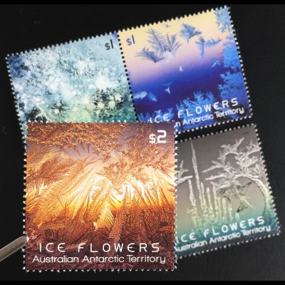Australische Antarktis AAT 2016 Nr. 241-44 Eisblumen Ice Flowers Eiskristall