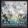 Australische Antarktis AAT 2016 Nr. 241-44 Eisblumen Ice Flowers Eiskristall