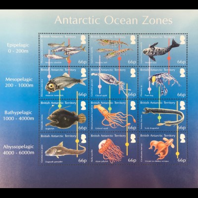 Britische Antarktis BAT 2016 Nr. 713-28 Der Ozean in Zonen unterteilt Fische
