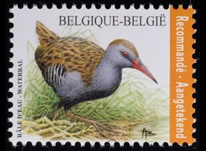 Belgien 2017 Nr. 4717 Fauna Wasserralle Vögel Familie Rallenvögel Ornithologie