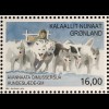 Grönland 2017 Block 79 Sport in Grönland Hundeschlitten Meisterschaft