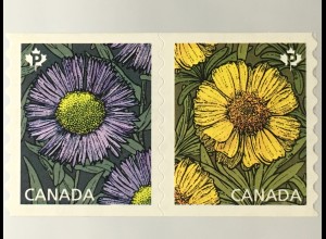 Kanada Canada 2017 Nr. 3467-68 Gänseblume Erigeron SpeciosusTetraneuris herbacea