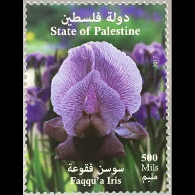 Palästina State of Palestine 2017 Nr. 388 Iris Nationalblume Flora Schwertlilie