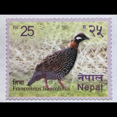 Nepal 2016 Nr. 1236 Francolinus francolinus Fasan Vogelmotiv Fauna