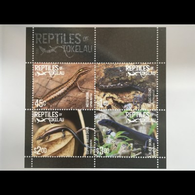 Tokelau Inseln 2017 Block 68 Reptilien Emoia Cyanura Fauna Tierwelt Reptiles 