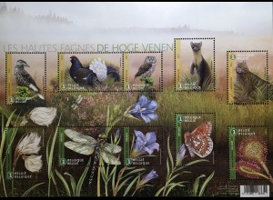 Belgien 2017 Nr. 4773-82 High Fens Naturreservat Auerhahn Eule Marder Libelle