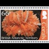Britische Antarktis BAT 2017 Nr. 754-65 Korallen koloniebildende Nesseltiere 