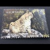 Albanien 2017 Nr. 3560 Bedrohte Tierarten Eurasischer Luchs Fauna Säugetiere