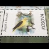 Kosovo 2018 Block 45 Einheimische Vögel Fauna Tiere Ornithologie Wiedehopf 