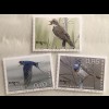 Luxemburg 2018 Nr. 2168-70 Seltene Vögel Teichrohrsänger Rauchschwalbe Fauna