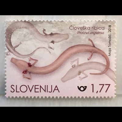 Slowenien Slovenia 2018 Neuheit Grottenholm Europäischer Schwanzlurch Proteus
