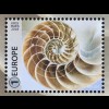Belgien 2018 Block 226 Geometrie in der Natur Spirale Naturwissenschaft 