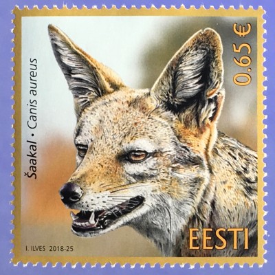 Estland EESTI 2018 Nr. 934 Einheimische Fauna Goldschakal (Canis aureus)