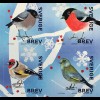 Schweden Sverige 2018 Neuheit Wintervögel Ornithologie Blaumeise Sperling Vogel