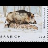 Österreich 2019 Nr. 3455 Wildschwein Tiere Fauna echte Schweine Paarhufer