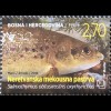 Bosnien Herzegowina Kroatische Post Mostar 2018 Nr. 497-500 Fische Fauna Lachs 
