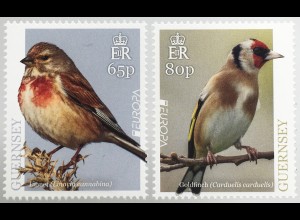 Guernsey 2019 Nr. 1726+28 Europaausgabe Einheimische Vogelarten Ornithologie