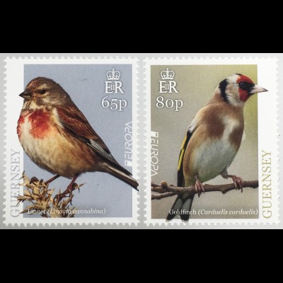 Guernsey 2019 Nr. 1726+28 Europaausgabe Einheimische Vogelarten Ornithologie
