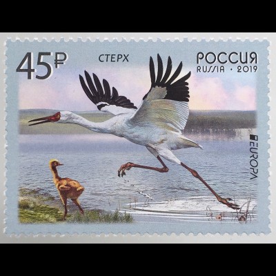 Russia Russland 2019 Neuheit Europaausgabe Einheimische Vogelarten Wasservögel