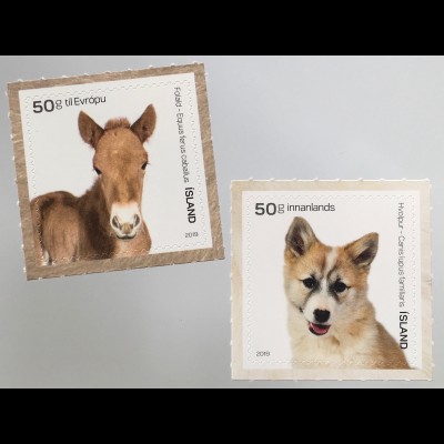 Island Iceland 2019 Nr. 1581-82 Farmtiere Fohlen und Hundebaby Fauna Bauernhof