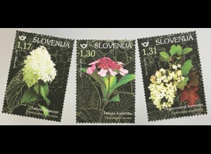 Slowenien Slovenia 2019 Nr. 1357-60 Flora Hortensienarten Rispen Blumen Garten