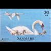 Dänemark 2019 Block 72 Europaausgabe Einheimische Vogelarten Schwäne 