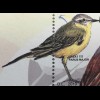 Kosovo 2019 Block 50 Einheimische Vogelarten Europaausgabe Ornithologie Block