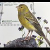 Madeira 2019 Block 71 Europaausgabe Einheimische Vogelarten Kanarienvogel