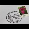 Bund BRD Ersttagsbrief FDC 1. August 2019 Nr. 3489 Wilgladiole Dauerserie Flora