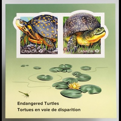 Kanada Canada 2019 Block 288 Gefährdete Schildkrötenart Wasser- Landschildkröte
