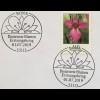 Bund BRD Ersttagsbrief FDC 1. Juli 2019 Nr. 3471 Wilgladiole Dauerserie Flora