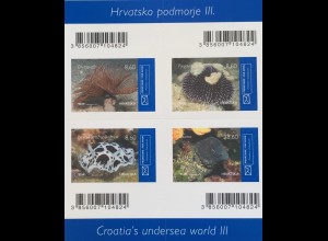 Kroatien Croatia 2019 Nr. 1380-83 Unterwasserwelt Seeigel Seeanemone Biologie