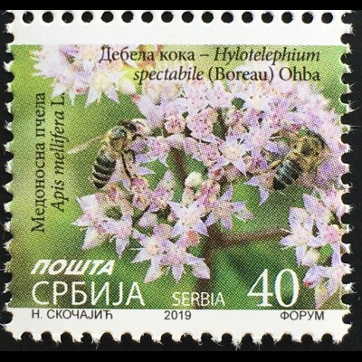 Serbien Serbia 2019 Michel Nr. 909 Freimarke Blumen
