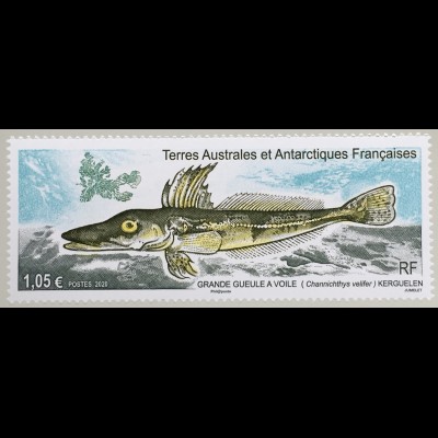 Franz. Antarktis TAAF 2020 Nr. 1061 Einheimische Fische Krokodileisfisch 