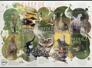 Niederlande 2020 Nr. 3897-3906 Natur erleben Vögel der Agrargebiete Löffelente