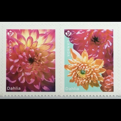 Kanada Canada 2020 Nr. 3789-99 Dahlien Blumen Flora Korbblütler Blüten