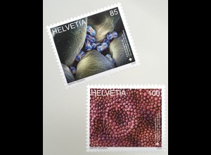 Schweiz 2020 Nr 2661-62 Mikroskopische Kunst Künstler Martin Oeggerli Fotografie