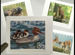 Schweiz 2020 Nr. 2657-60 Tierfamilien Fauna Tierfotografien Murmeltier Steinbock