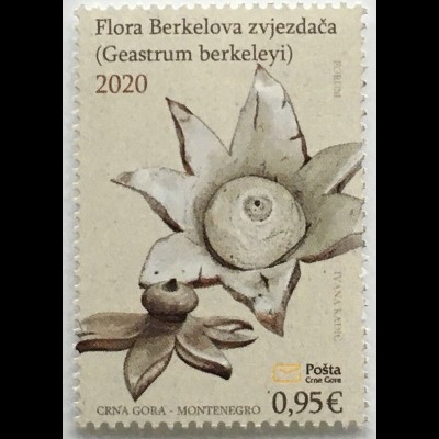 Montenegro 2020 Nr. 446 Erdbilz Ersdsterne Geastrum berkeley Flora 