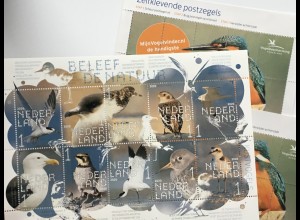 Niederlande 2020 Nr. 3927-36 Natur erleben Watvögel Fauna Ornithologie 