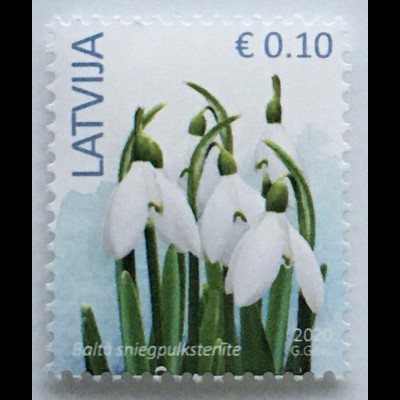 Lettland Latvia 2020 Neuheit Freimarke Schneeglöckchen Blume Flora 